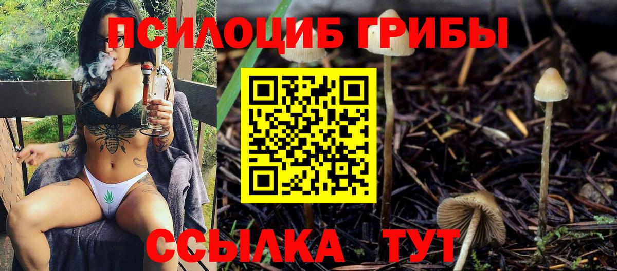 Псилоцибиновые грибы мицелий  Вход с VPN  Алексин 